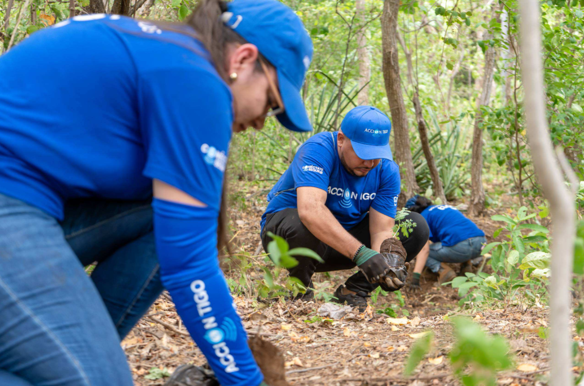 Tigo Nicaragua, Holcim y UNICEF completan reforestación de 14 hectáreas en Reserva Natura