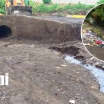 Ni 12 horas duró la limpieza: vuelven a lanzar basura en Nueva Vida foto: Limpieza recién terminada y nuevamente arrojan basura en Nueva Vida/tn8