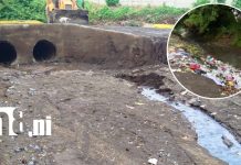 Ni 12 horas duró la limpieza: vuelven a lanzar basura en Nueva Vida foto: Limpieza recién terminada y nuevamente arrojan basura en Nueva Vida/tn8