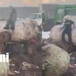 Indignación en Acahualinca: hombre golpea a caballo agotado durante jornada de carga Foto: Indignación en Acahualinca: hombre golpea a caballo agotado durante jornada de carga / TN8