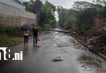 Managua: Caída de poste mantiene afectada la salida del barrio Arnoldo Alemán Foto: Caída de poste genera afectación en vía de un barrio de Managua / TN8