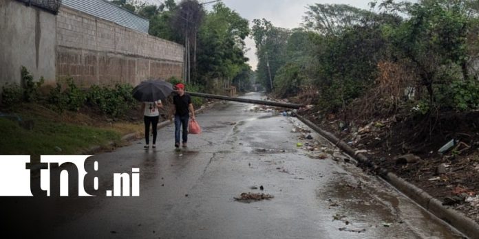 Foto: Caída de poste genera afectación en vía de un barrio de Managua / TN8 Foto: Caída de poste genera afectación en vía de un barrio de Managua / TN8
