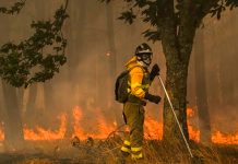 Bomberos de Francia protestan en París por más recursos y personal Foto: Bomberos de Francia protestan en París por más recursos y personal / Cortesia