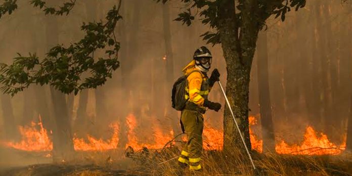 Foto: Bomberos de Francia protestan en París por más recursos y personal / Cortesia Foto: Bomberos de Francia protestan en París por más recursos y personal / Cortesia