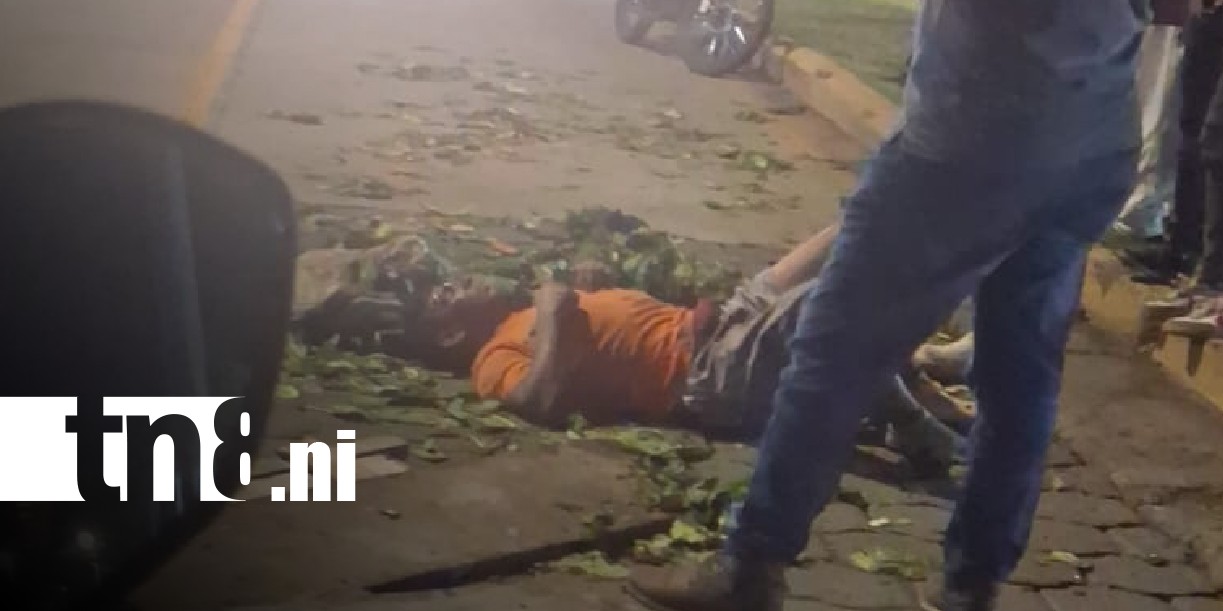 Foto: Accidente de tránsito en Carretera Norte con una carreta halada por caballo / TN8