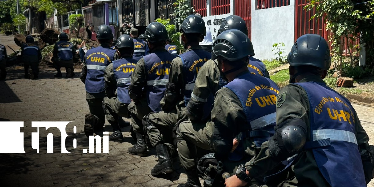 Foto: Tercer Ejercicio Nacional de Protección de la Vida en 2026 / TN8