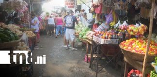 Foto: Sondeo de precios de la canasta básica / TN8