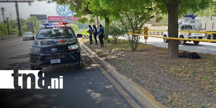 Foto: Investigación alrededor de cuerpo encontrado en Carretera Norte, Managua / TN8