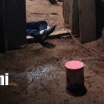Foto: Crimen ocurrido en La Dalia, Matagalpa / TN8