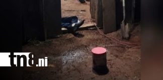 Foto: Crimen ocurrido en La Dalia, Matagalpa / TN8