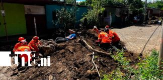 Foto: Tercer ejercicio nacional pone a prueba la preparación de familias ante sismos / TN8