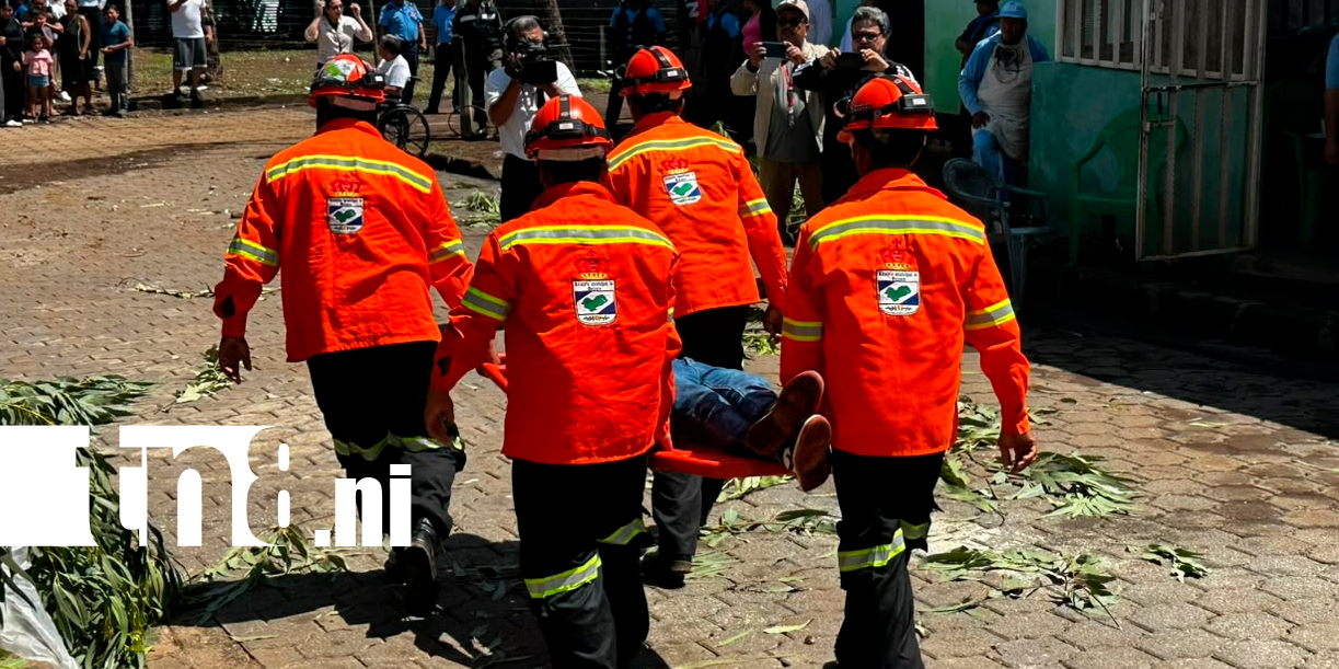 Foto: Tercer ejercicio nacional pone a prueba la preparación de familias ante sismos / TN8