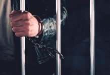Golpe a Los Lobos: capturan en Ecuador a alias “La Muerte” Foto: Golpe a Los Lobos: capturan en Ecuador a alias “La Muerte” / cortesia