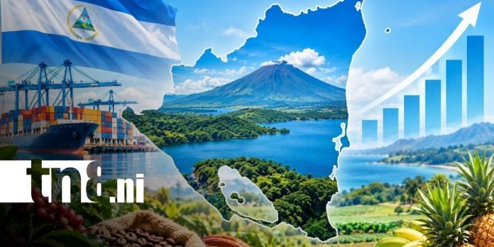 Foto: Proyecciones económicas de Nicaragua se mantienen a buen ritmo en primer semestre 2026 Foto: Proyecciones económicas de Nicaragua se mantienen a buen ritmo en primer semestre 2026
