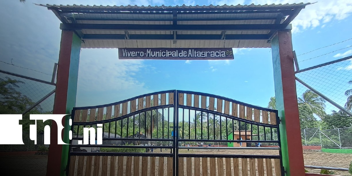 Foto: Plantas frutales en Ometepe / TN8