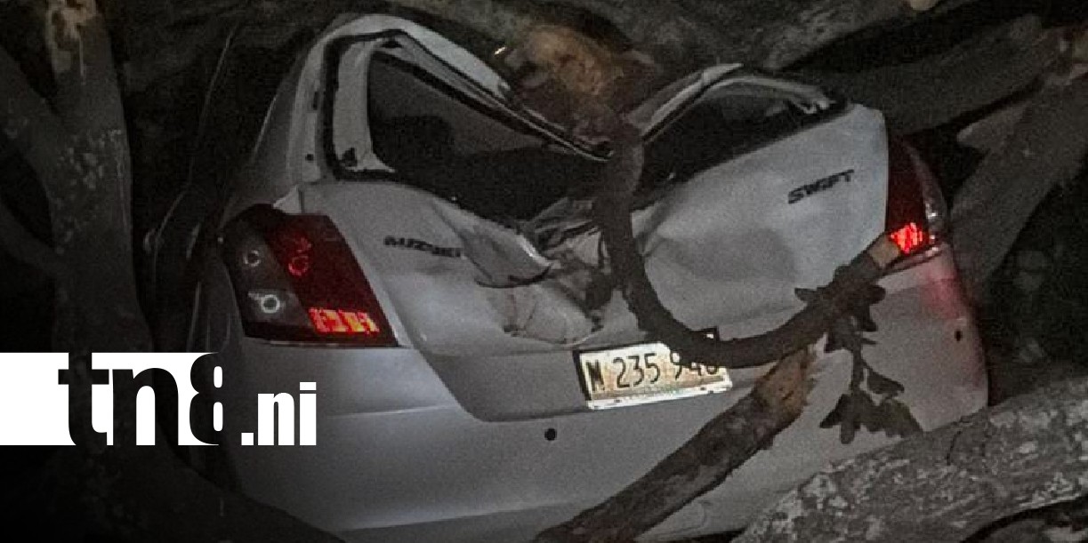 Foto: Árbol de chilamate cae sobre vehículos en Santo Domingo, Managua / TN8