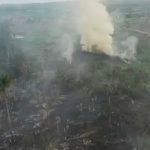 Foto: Amazonía brasileña enfrenta fuerte aumento de incendios durante septiembre/Cortesía