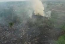 Amazonía brasileña registra su mayor repunte de incendios Foto: Amazonía brasileña enfrenta fuerte aumento de incendios durante septiembre/Cortesía
