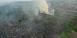 Foto: Amazonía brasileña enfrenta fuerte aumento de incendios durante septiembre/Cortesía