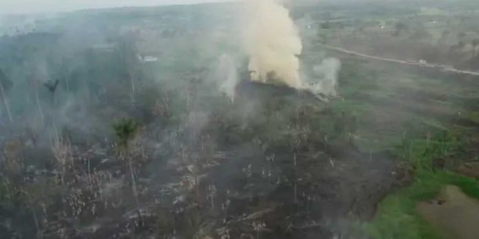 Foto: Amazonía brasileña enfrenta fuerte aumento de incendios durante septiembre/Cortesía