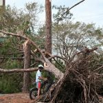 Huracán Isaias deja cuatro muertos y cientos de miles de hogares sin electricidad en Estados Unidos