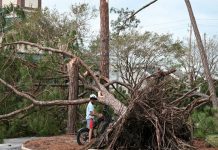 Huracán Isaias deja cuatro muertos y cientos de miles de hogares sin electricidad en Estados Unidos
