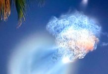 ¿Una medusa gigante en el cielo? SpaceX provoca un espectáculo luminoso Foto: Medusa espacial en el cielo de Florida/Cortesía