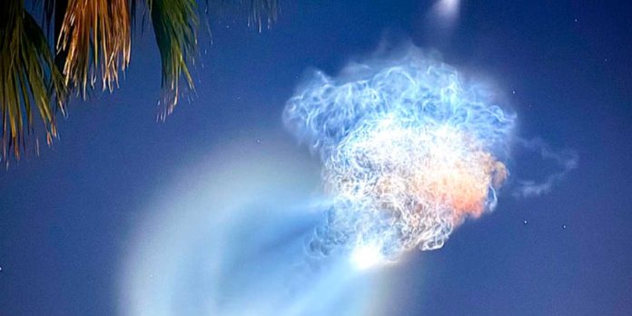 Foto: Medusa espacial en el cielo de Florida/Cortesía Foto: Medusa espacial en el cielo de Florida/Cortesía