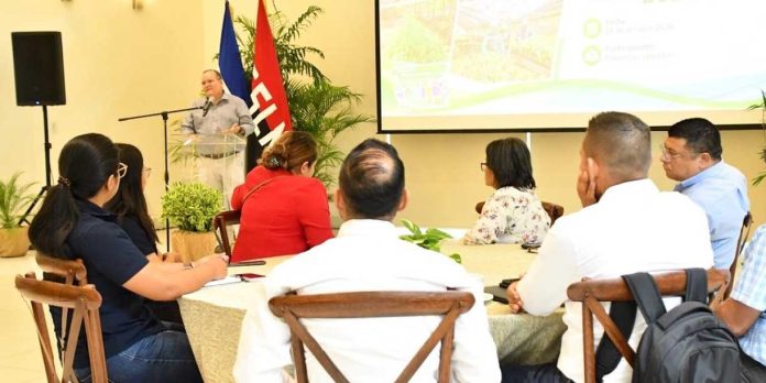 Foto: MARENA impulsa nueva etapa de reforestación en Nicaragua/Cortesía
