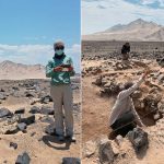 Investigadores cubren zonas de excavación para proteger miles de petroglifos en Perú