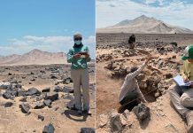 Investigadores cubren zonas de excavación para proteger miles de petroglifos en Perú