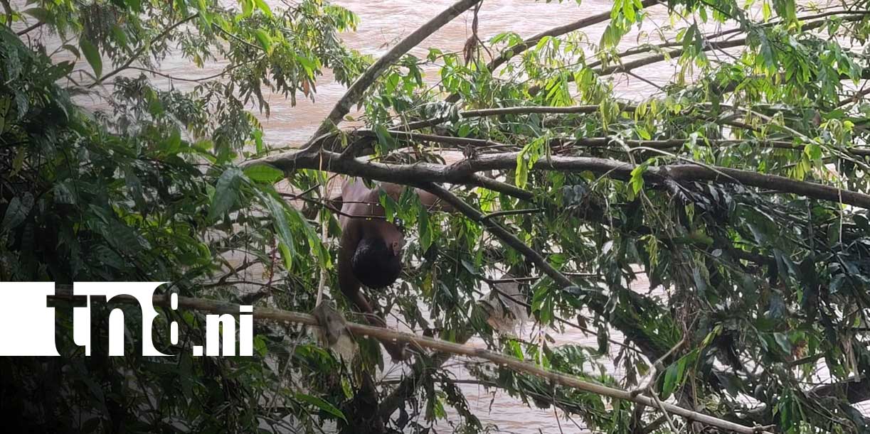 Foto: Muere ahogado en un río de Jinotega/TN8