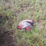 Foto: Hallan sin vida a señalado por femicidio en Chontales/TN8