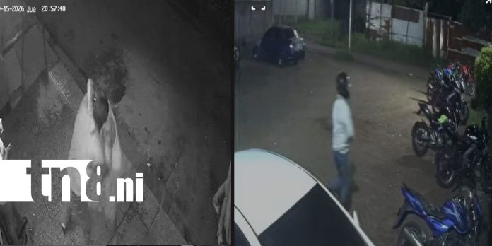 Foto: Alerta en Managua por violento altercado y robo de motocicleta en Ciudad Sandino/TN8
