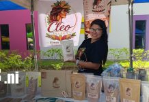 Raíces del Maíz: la feria que une tradición, gastronomía y emprendimientos en Nicaragua Foto: Emprendedores celebran las raíces de Nicaragua/TN8