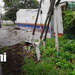 ¡Impactante accidente! Bus de la ruta 115 se estrella contra postes en carretera Nuevo León Foto: Bus choca contra postes en carretera Nuevo León/TN8