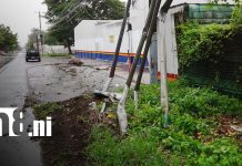 Foto: Bus choca contra postes en carretera Nuevo León/TN8