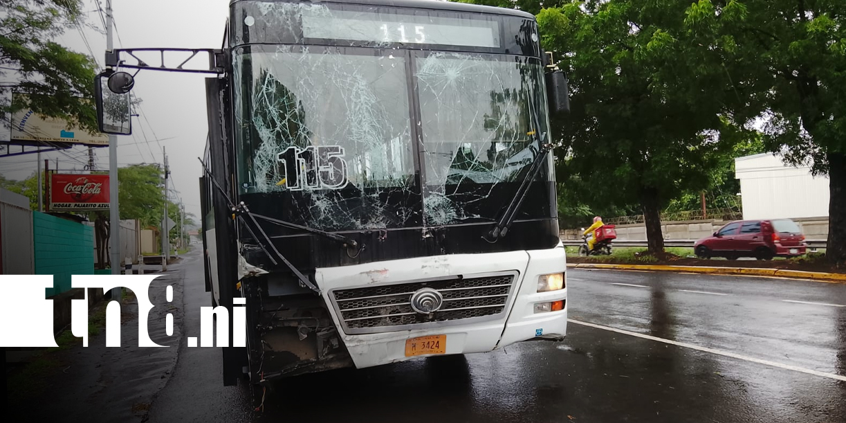 Foto: Bus choca contra postes en carretera Nuevo León/TN8