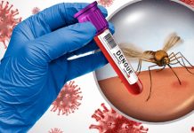 Nicaragua reporta menos casos de dengue y leptospirosis en la última semana Foto: Nicaragua reporta menos casos de dengue y leptospirosis en la última semana /Cortesía