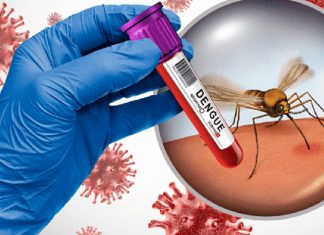 Nicaragua reporta menos casos de dengue y leptospirosis en la última semana Foto: Nicaragua reporta menos casos de dengue y leptospirosis en la última semana /Cortesía