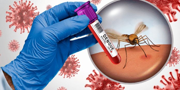 11 Foto: Nicaragua reporta menos casos de dengue y leptospirosis en la última semana /Cortesía