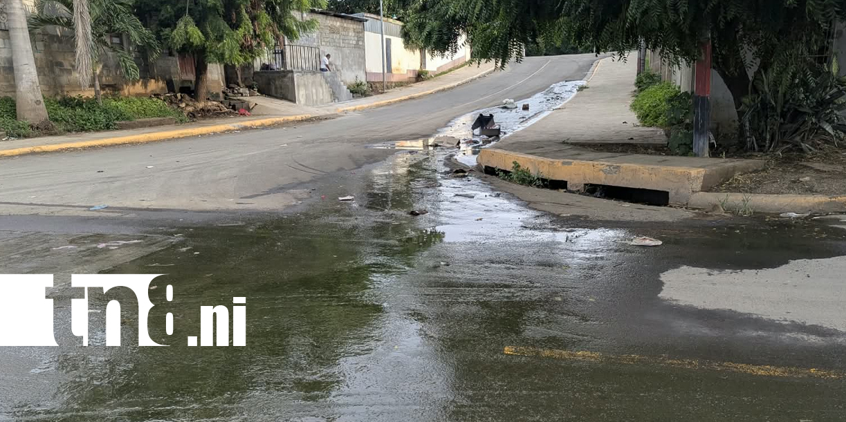 Foto: Familias afectadas por aguas negras esperan respuesta de ENACAL/TN8