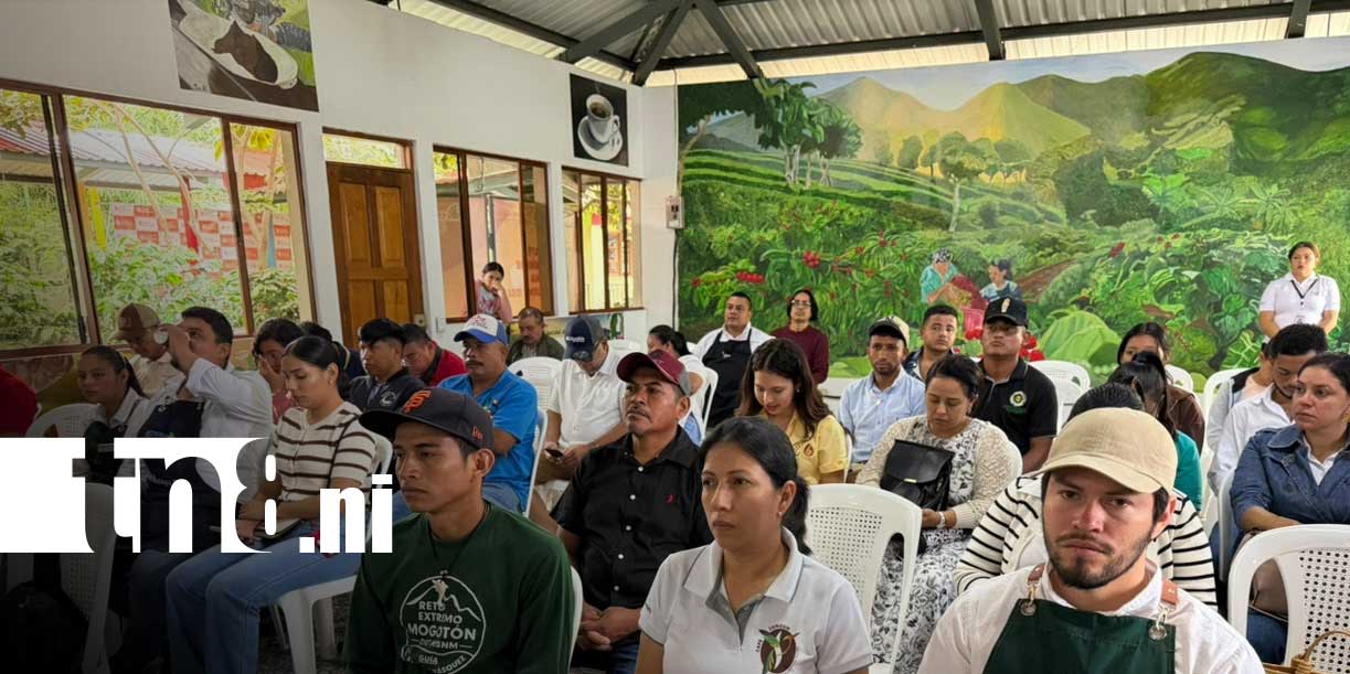 foto: Jinotega promociona sus fincas, paisajes y tradiciones con Circuito del Café/tn8