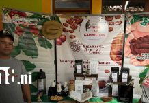 foto: Jinotega promociona sus fincas, paisajes y tradiciones con Circuito del Café/tn8