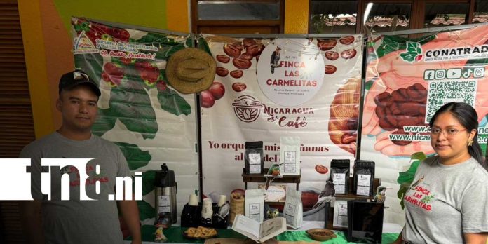 foto: Jinotega promociona sus fincas, paisajes y tradiciones con Circuito del Café/tn8 foto: Jinotega promociona sus fincas, paisajes y tradiciones con Circuito del Café/tn8