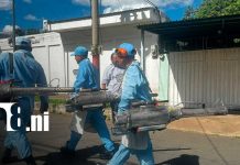 Foto: Fumigación contra zancudos en Managua/TN8