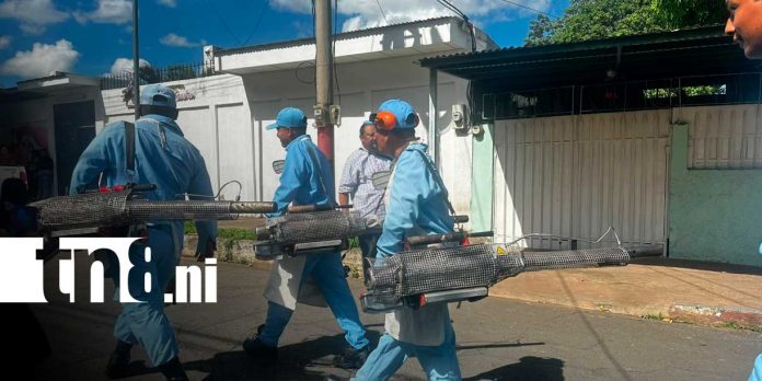 Foto: Fumigación contra zancudos en Managua/TN8 Foto: Fumigación contra zancudos en Managua/TN8