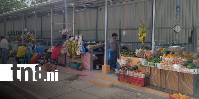 Foto: Comerciantes de Somoto estrenan espacios para vender sus productos/TN8 Foto: Comerciantes de Somoto estrenan espacios para vender sus productos/TN8