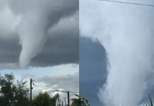 Tornado toca tierra en Chile, provoca daños en viviendas y caída de árboles (VIDEOS) Foto: Tornado en Chile causa daños en viviendas y caída de árboles/Cortesía