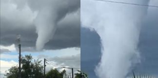 Foto: Tornado en Chile causa daños en viviendas y caída de árboles/Cortesía